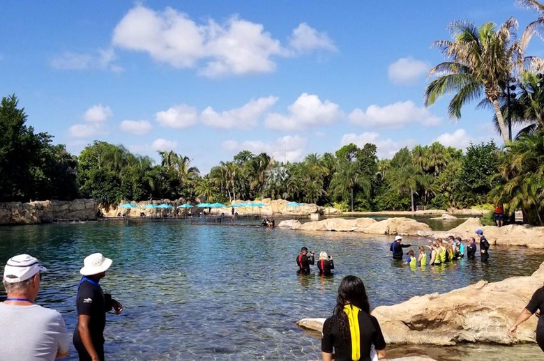 Discovery Cove