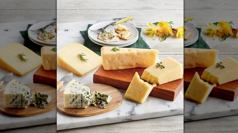 Four cheeses on board