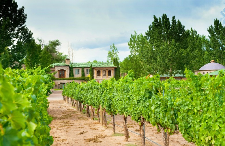 New Mexico Wineries