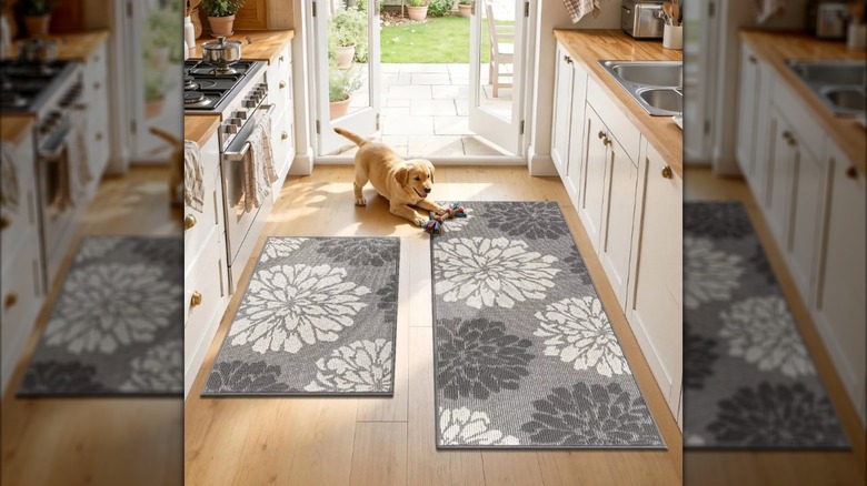 puppy playing on grey kitchen rug