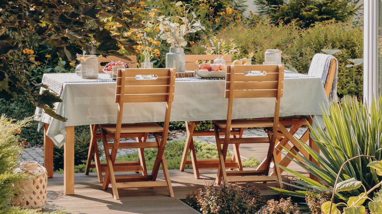 Beautifully decorated patio dining set with plants all around