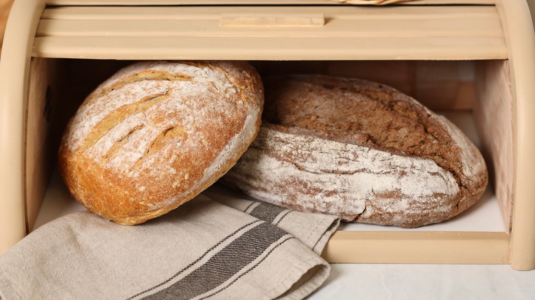 Open bread box with loaves inside and a kitchen towel hanging out