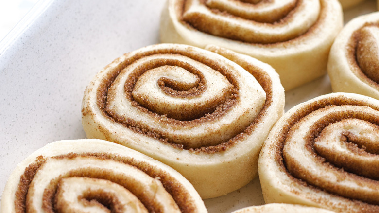 Raw cinnamon rolls with dough and cinnamon filling rest on a white plate.