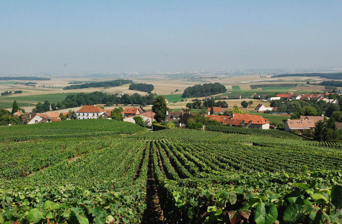 Champagne On World Heritage List