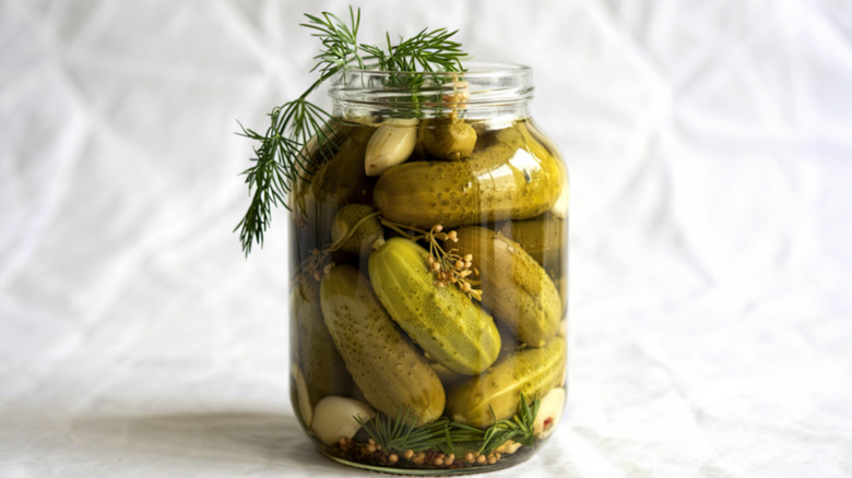 A jar of pickles in their brine, with fresh dill spilling out of the top
