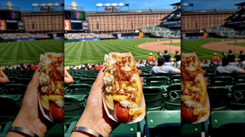 crab mac and cheese hot dog at baseball game
