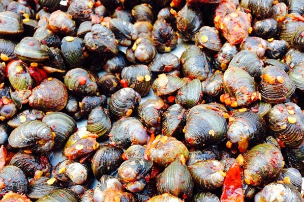Clams in Cambodia