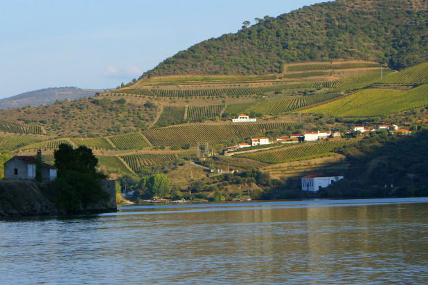 Vineyards of Vargellas