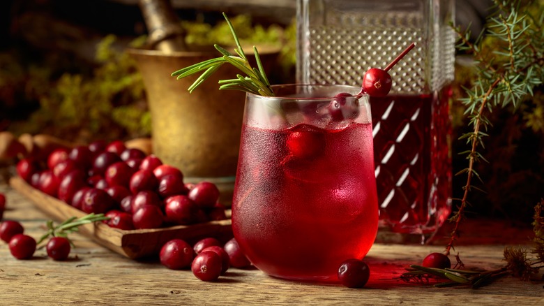 cranberry cocktail with rosemary