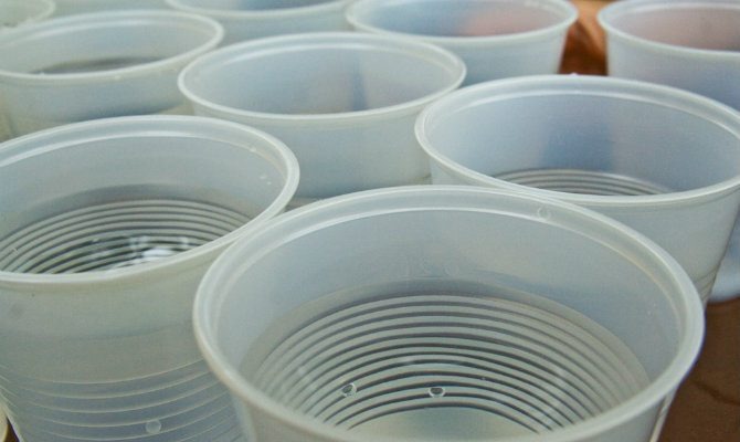 Plastic Cups