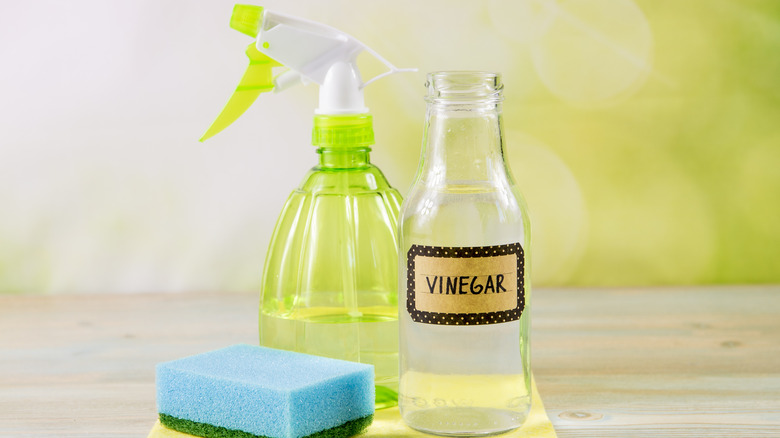 Vinegar with a spray bottle and sponge