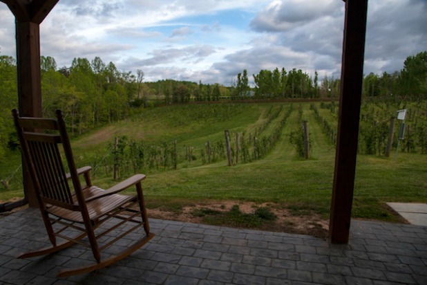 Hill Top Berry Farm and Winery 