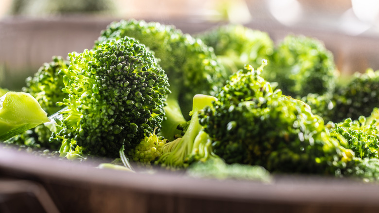 Closeup of steamed broccoli florets