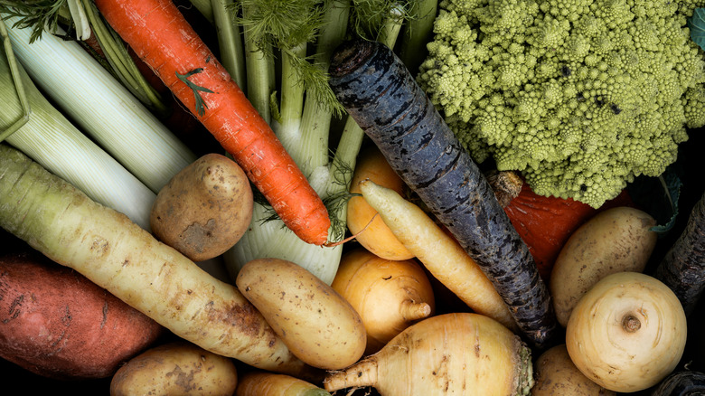 variety of harvested vegetables piled up
