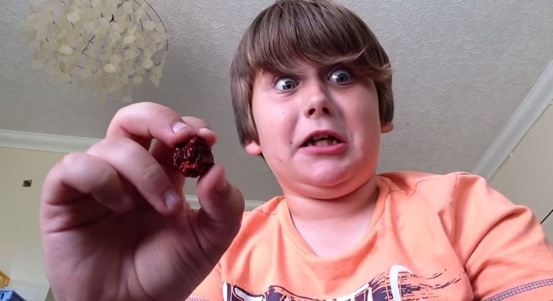 Watch: 9-Year-Old Eats the World's Hottest Pepper, Regrets It 