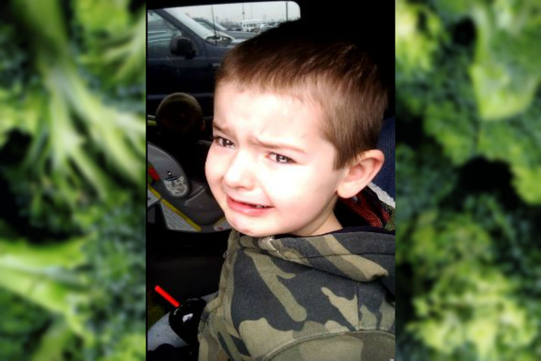 Watch: Little Boy Is Devastated to Find Out He's at the Circus, Not a Broccoli Farm 