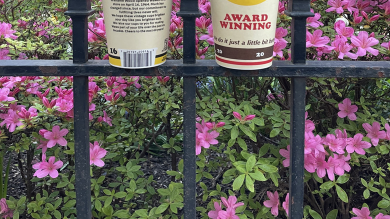 Wawa cups on a fence with flowers