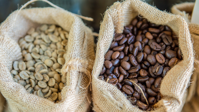 green and roasted coffee beans in jute bags