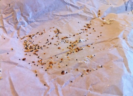 "We Don't Toast," a Happy New York Morning Bagel Rebuff