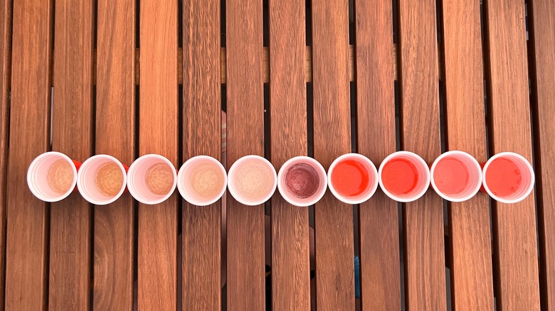 red cups lined up