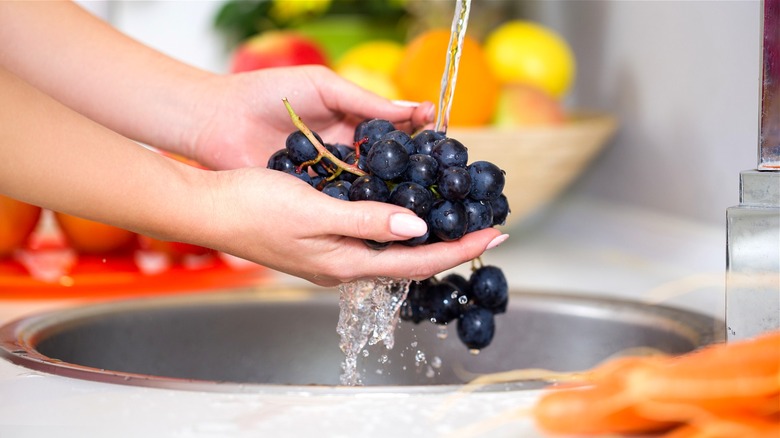 Hands washing purple grapes