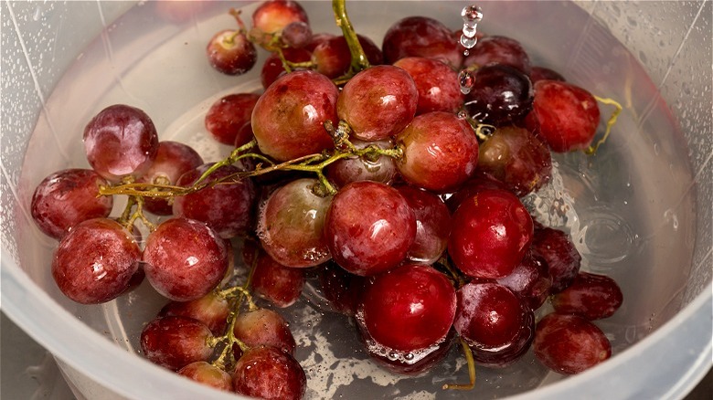 Red grapes in bowl of water 