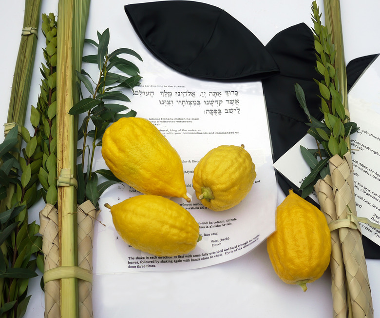 lulav and etrog