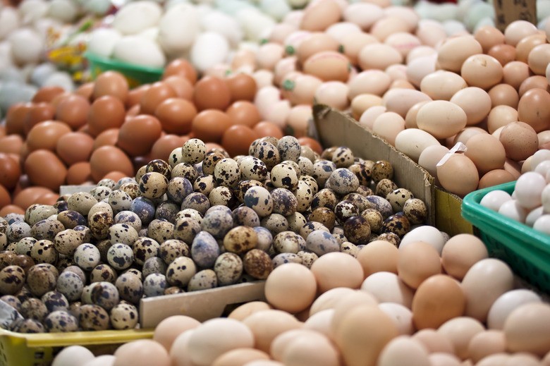 What Are Pullet Eggs?
