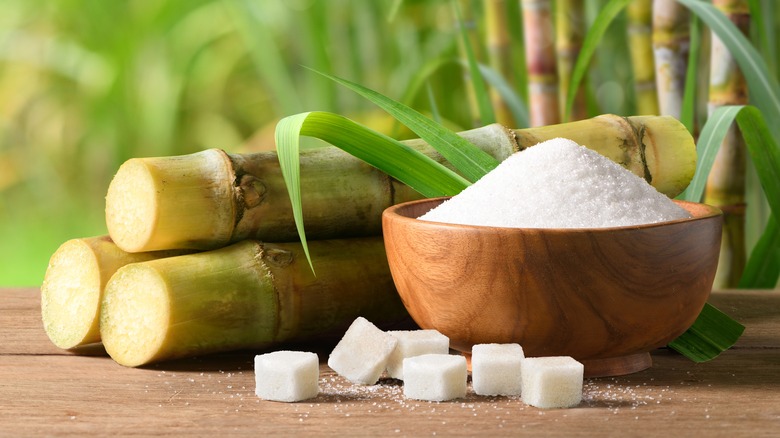 Unrefined sugarcane next to a bowl of refined white sugar