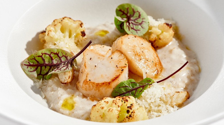 Scallop risotto