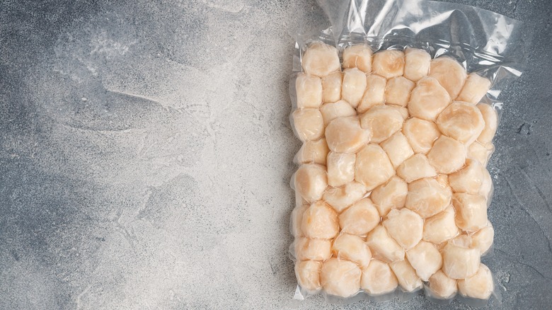 Vacuum packed frozen scallops