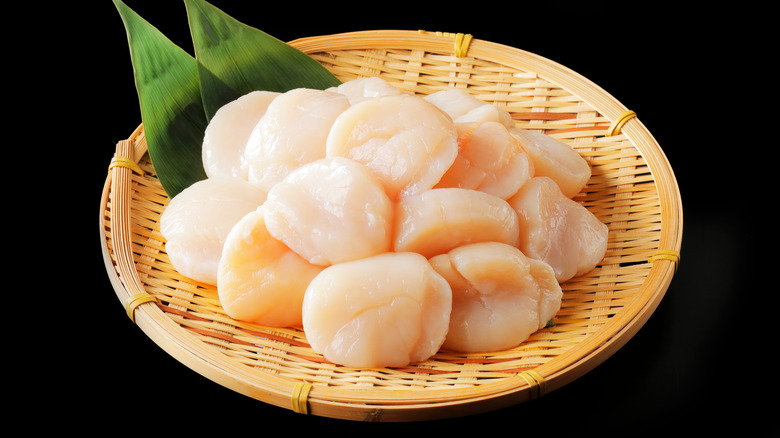 Bowl of fresh sea scallops