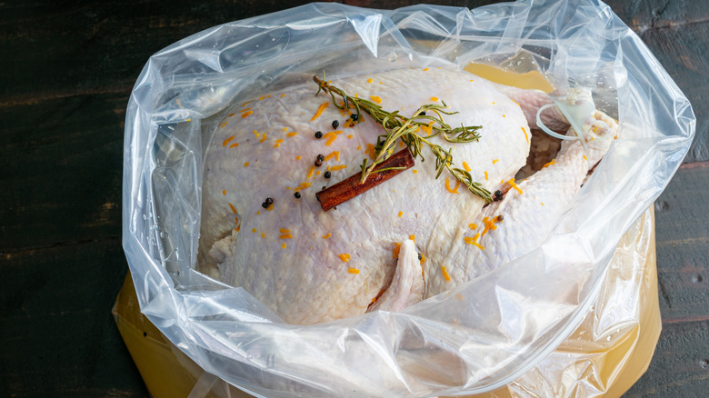 A Thanksgiving turkey being wet-brined