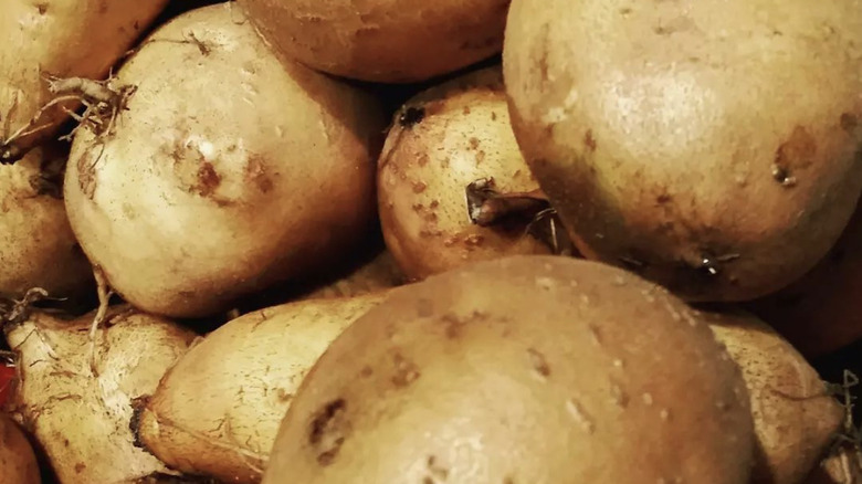 What Are White Sweet Potatoes And How Do You Cook With Them?