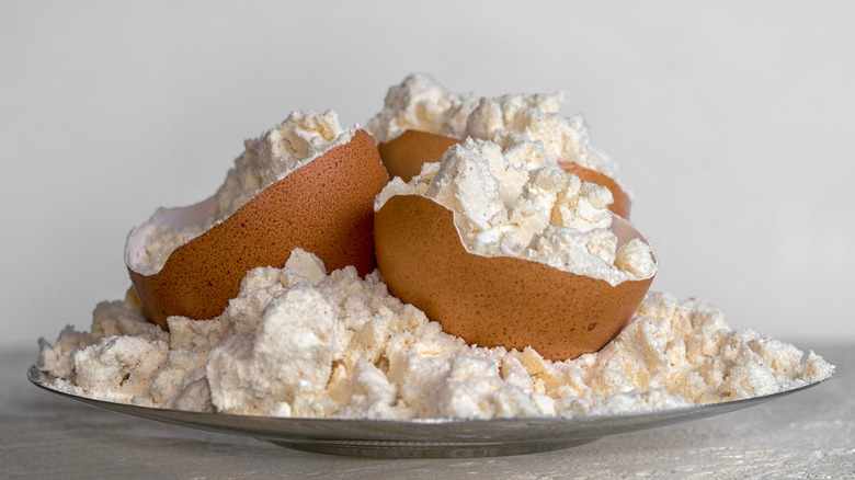 Egg powder in egg shells 