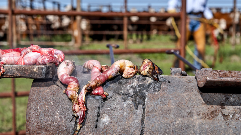 calf fries cooking on a barbecue