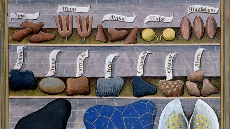 Medieval illustration of spices with medicinla uses