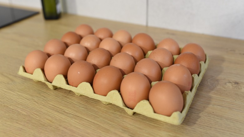 two dozen brown eggs in a carton