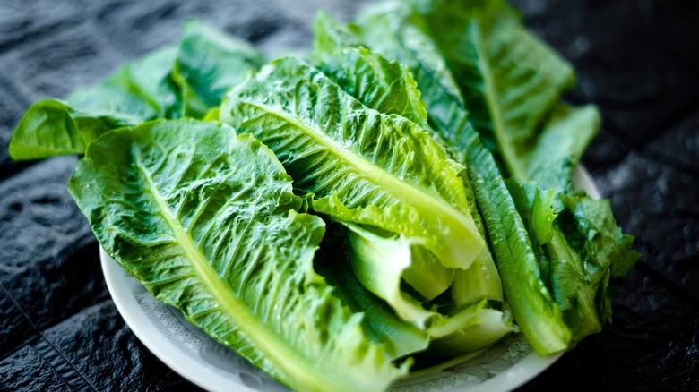 Romaine lettuce leaves