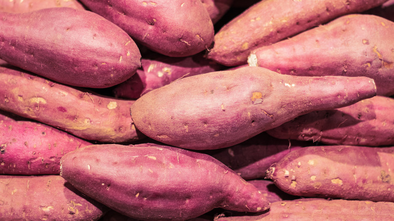 Purple sweet potato 