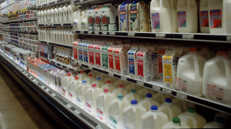 Supermarket dairy aisle
