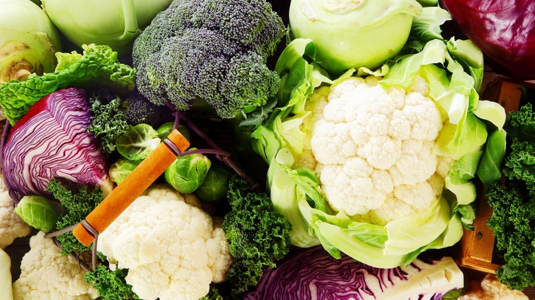 cauliflower broccoli cabbage