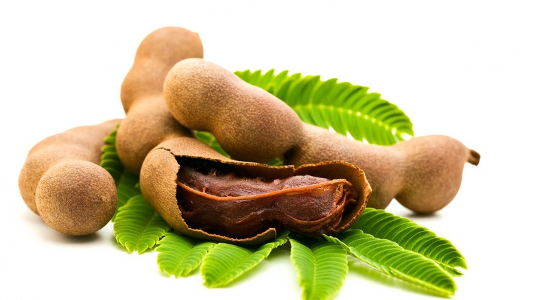 Tamarind pods and leaves
