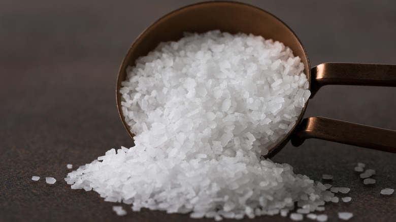 Kosher salt in a spoon