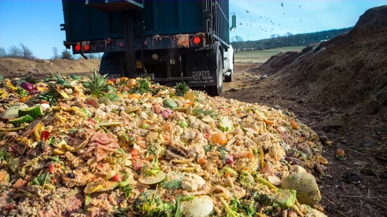 pile of big waste trash