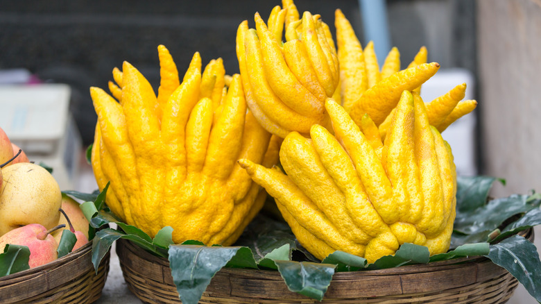 https://www.thedailymeal.com/img/gallery/what-is-a-citron-and-what-does-it-taste-like/different-varieties-of-citron-1689005959.jpg