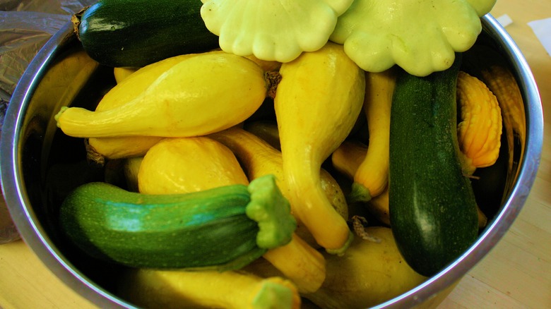 Variety of summer squash