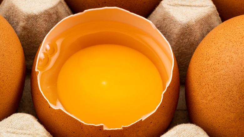 Cracked open brown egg