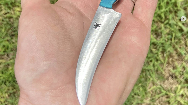 tourne knife in hand