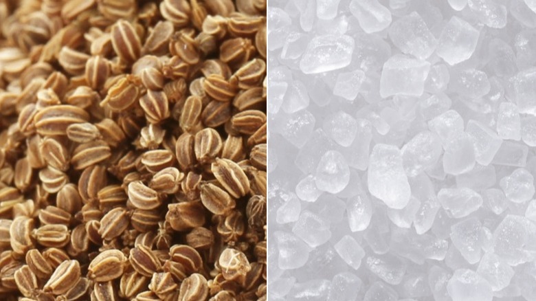 Images of celery seed and white kosher salt pictured side by side